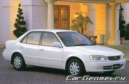 Кузовные размеры Toyota Corolla 1995-2000, Размеры кузова Тойота Королла Седан