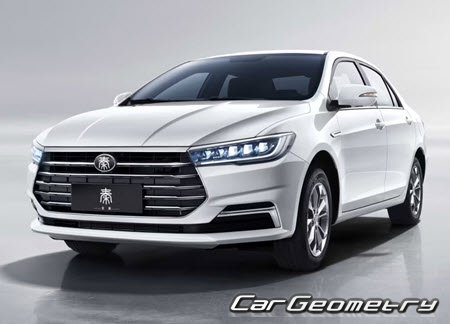   BYD Qin Pro 20192024,    