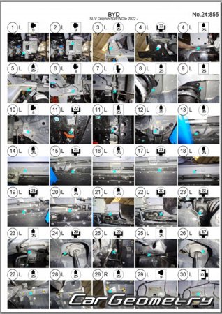   BYD Dolphin 2022-2029 Body Repair Manual